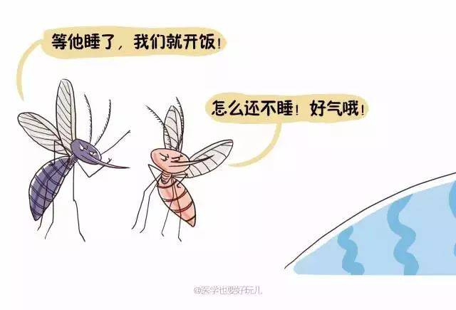 蚊子:别跟我谈血型,我喜欢的是你的味道