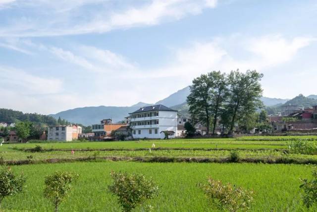 【美丽山村,我的家】汤家汇镇银山畈村