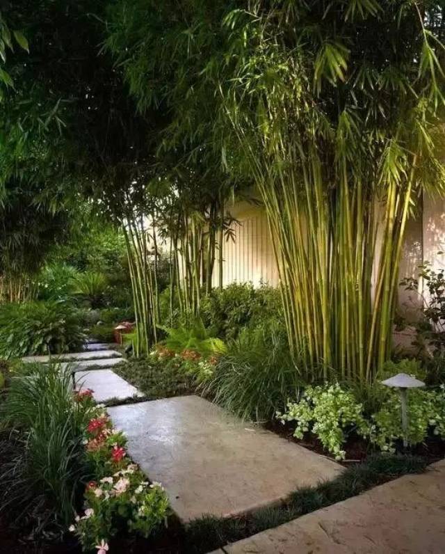 竹林为主的庭院景观,无形中营造出一种幽静隐秘的氛围