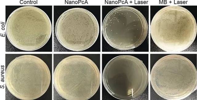 图五,nanopca处理大肠杆菌的底物tem图