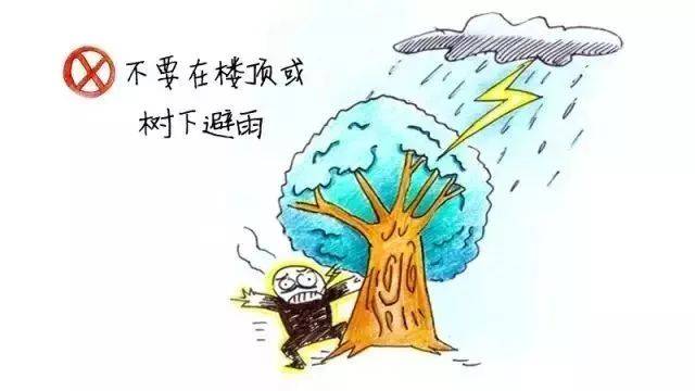 随着雨季的到来,雷电君时常出没 防雷避雷知识必须掌握 特别是爸妈们