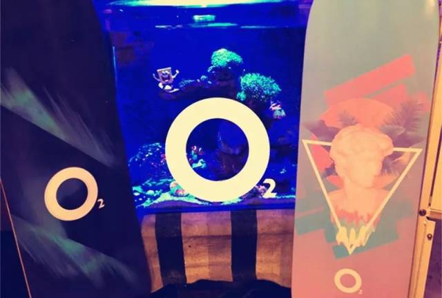 氧气长板视频介绍丨一款中规中矩的整板