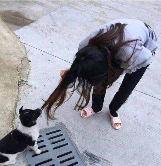 看图猜成语菜和饭_看图猜成语(3)