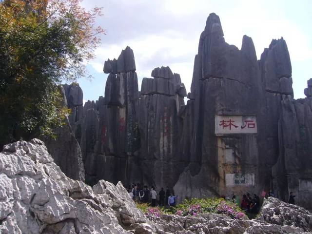 常山县三衢石林景区