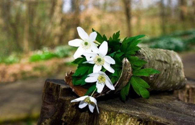 夜读 丨 学会释怀,很重要