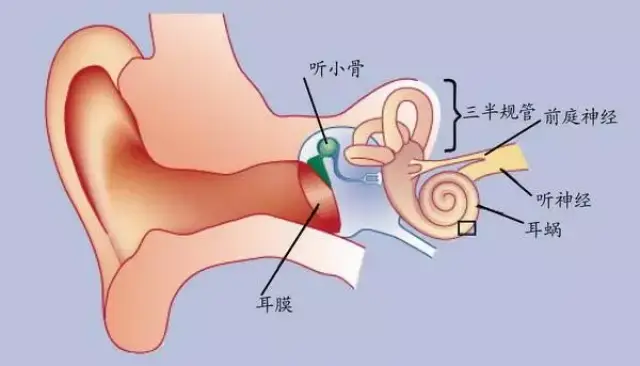 成都章岚育儿解惑:宝宝抓耳朵,抓头发,摇晃脑袋,到底怎么回事?