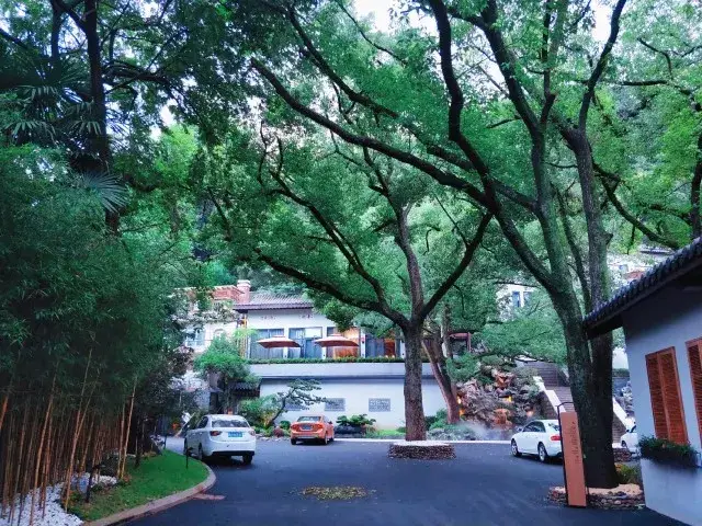 五环烟树是西湖新九溪之一,俗称"十景十八涧".东别墅九溪北京二手图片