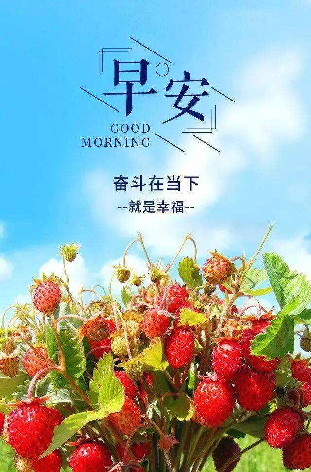簲ͼƬ־ 簲־ĵľٶ̾