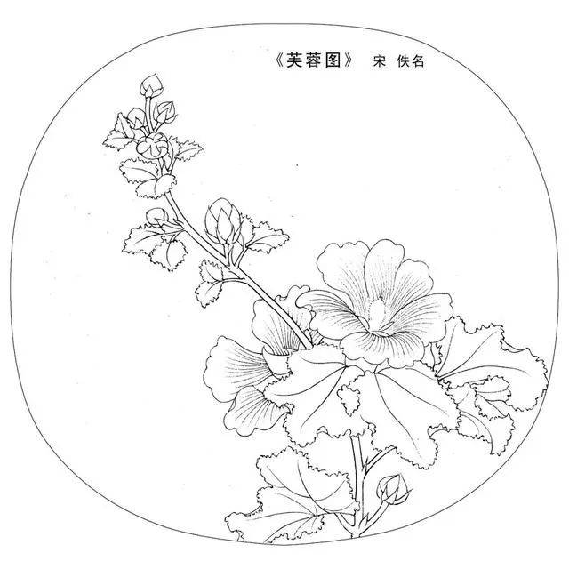 书画-宋画工笔白描,很好的国画学习素材