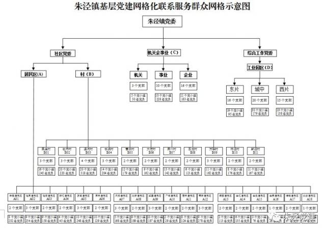 聚焦朱泾镇着力构建党建网格化管理服务体系