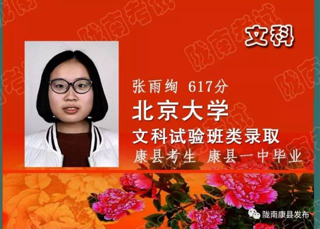 康县一中考生张雨绚以617分被北京大学文科试验班类录取.