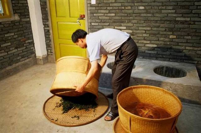 武夷岩茶大红袍传统制作技艺图片教程(建议wifi阅读)