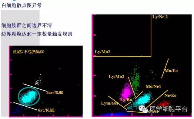 正常的散点图: 正常的散点图: 纵坐标(sfl):侧向荧光(聚亚甲基恶嗪