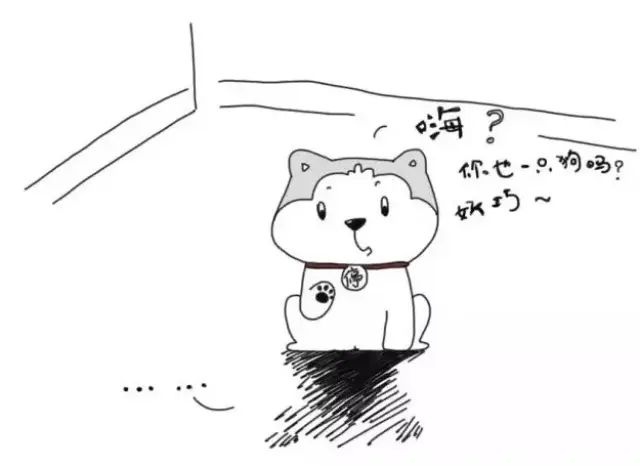 昨晚,我家被狗子拆了.