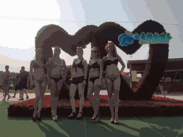 白龟湖水世界 4a国家湿地公园 西瓜采摘园一日游,这个