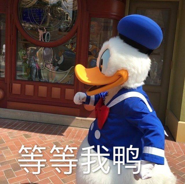 新宠表情包:今天也要加油鸭,你好棒棒鸭