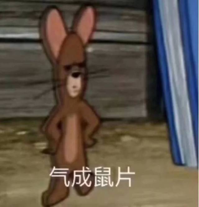 猫和老鼠表情包 i 毁童年啊