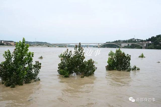 头条|洪峰过境南部县 嘉陵江进入"沿海"模式(图 视频)