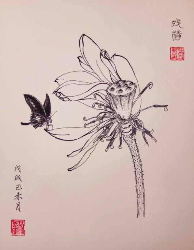 高清白描花卉