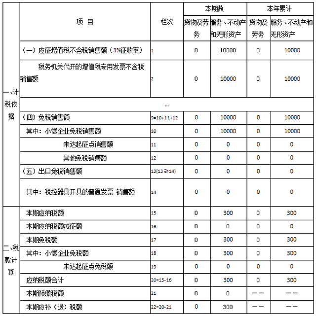 小规模纳税人申报辅导(流程,报表填写,注意事项,相关实例及优惠提示)