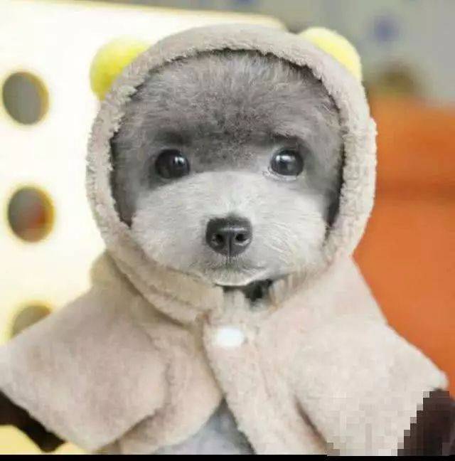 2018年上半年15大网络流行语，你不得不知道的事情