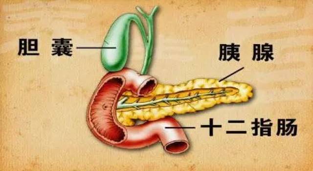 人体9大器官,最怕这9样东西