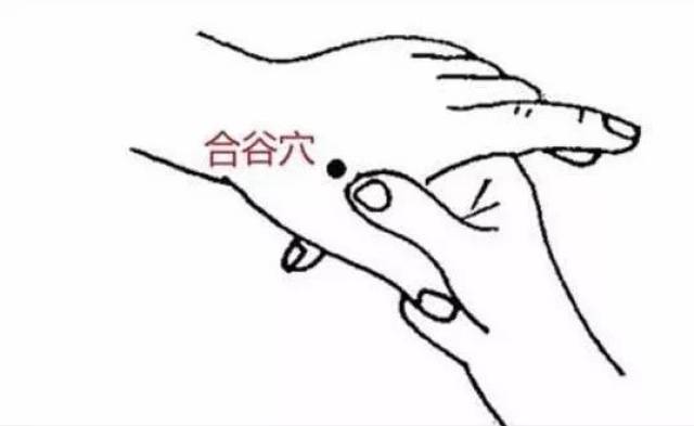 合谷穴,下关穴