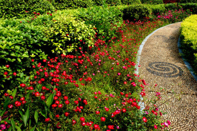 如何颠覆传统旅游小镇?可能就差“几朵花”(图1) 如何颠覆传统旅游小镇?可能就差“几朵花”(图1)