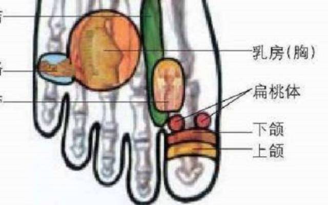 低头摸脚,7种病在脚上有开关,辅助搞定,太实用了!