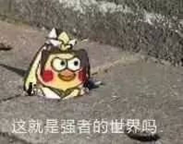 神吐槽:一个伪球迷的世界杯总结