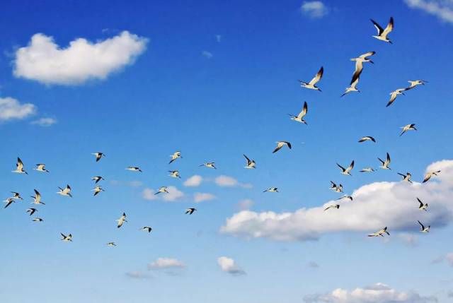 【游学·诗词】这些超火的歌词,替换成古诗词