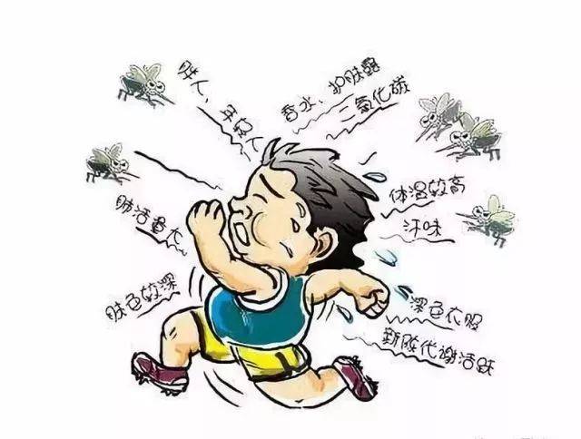 真相了!为什么蚊子特别爱咬你,原因竟是因为
