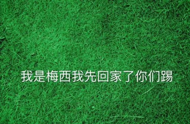 神吐槽:一个伪球迷的世界杯总结