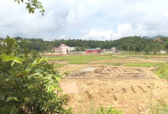 黄布镇位于龙川南部,东邻鹤市镇,西连佗城镇,南临东源县叶潭镇,北接