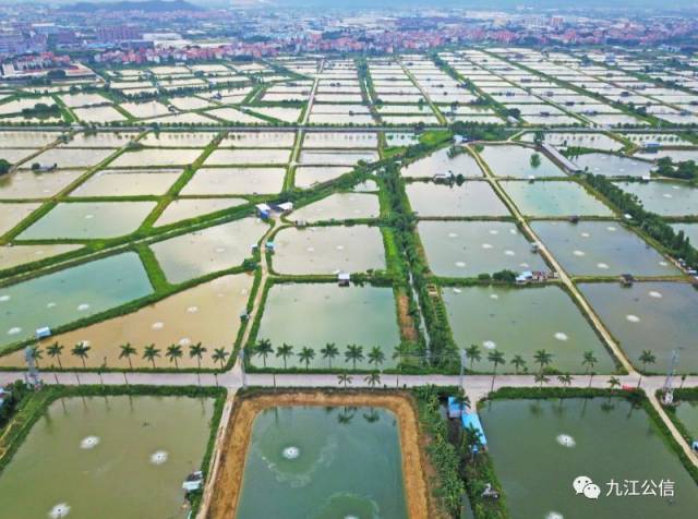 前几天,九江沙头片"蓝天白云"好天气,空气清新!