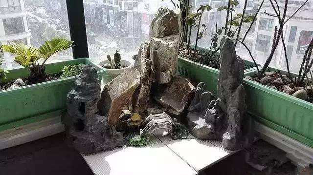 用装修剩下的砖头,在阳台砌了个假山鱼池,意料之外