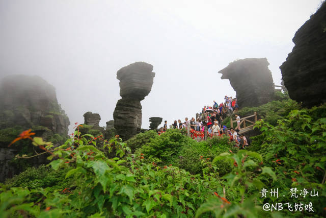 梵净山 的景观特征,云瀑,禅雾,幻影,佛光四大天象奇观,为 梵净山 添上