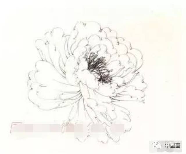 零基础如何自学工笔画?工笔画入门步骤,工笔黄牡丹设色步骤详解