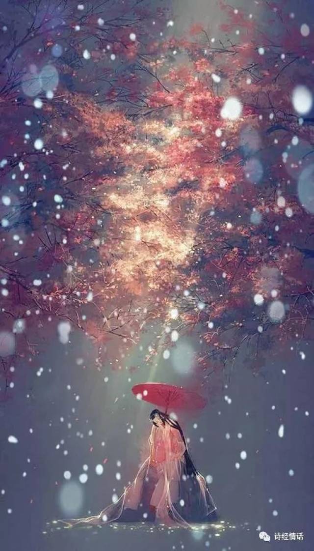  ֽ Ƥ ǿ   510_893   ֻ