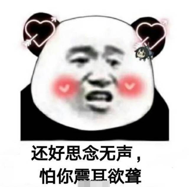 我真是个大笨蛋,除了爱你,我什么都做不好「土味情话表情包」