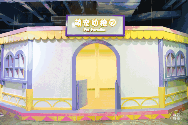 不远千里赶赴杭州演绎真实版《疯狂动物城》