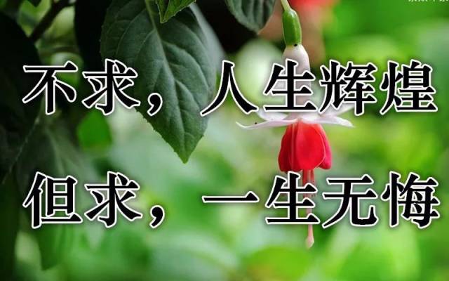 在吗,一首《吉祥花儿开》太美了,祝你开心幸福每一天!