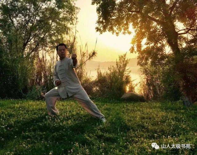 如何打好杨氏太极拳85式,一看就会