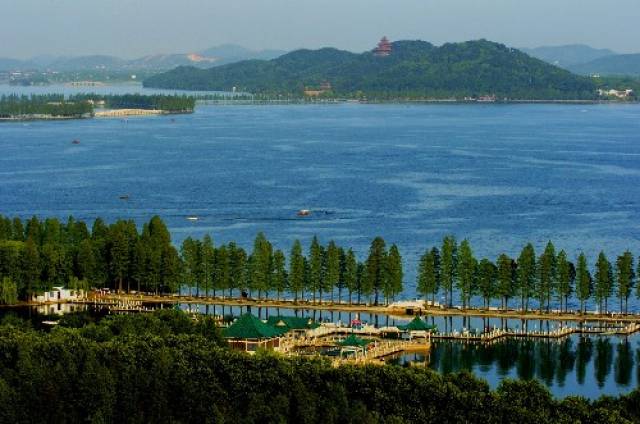 武汉水上马拉松 2018年7月22日"最美赛道跑汉马 大美东湖游水马"