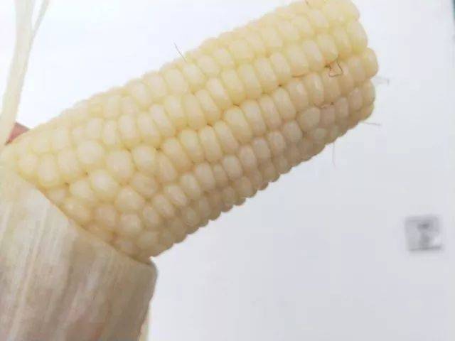 香甜的玉米