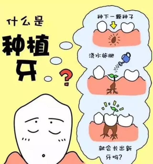׽Чʸ,ֲݵļڳ,ֲľ׽Чʿ
