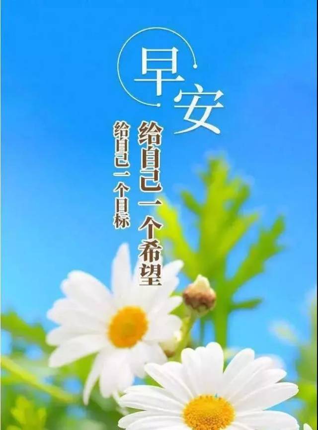 最新漂亮早安图片带字励志 早安心语正能量语录励志