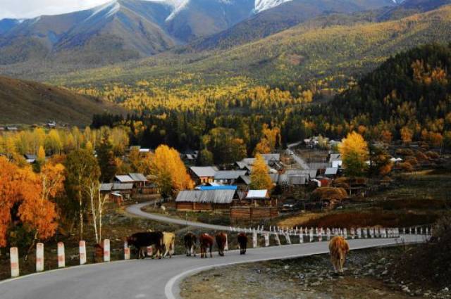 中国最美小镇旅游 43ac34766c5d4daeb8aaf540e3312b3f.jpeg