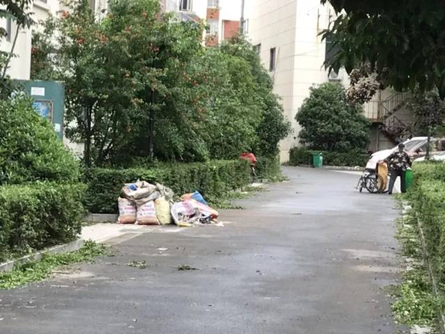 开发区如意豪庭环境脏,乱,差,小区业主怨声载道!