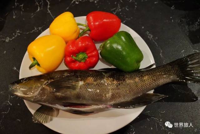 新西兰绿骨鱼,拿来清蒸真是人间美味啊!| 世界厨房